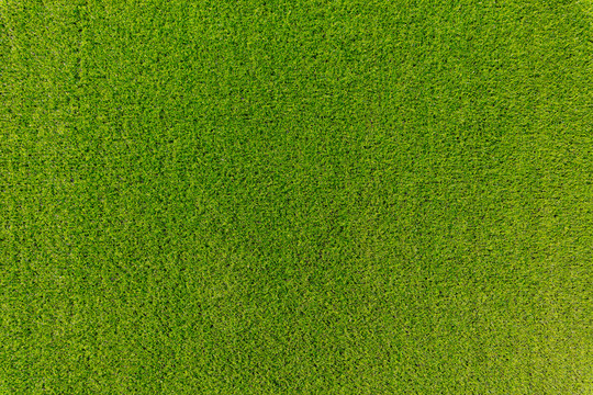 人工塑料绿色草坪