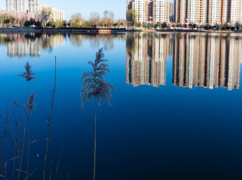 湖边楼房建筑环境