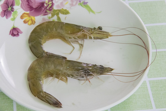 对虾