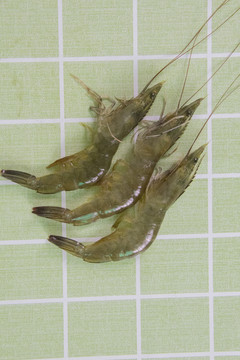 对虾