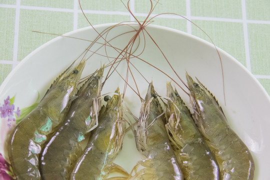 生鲜对虾