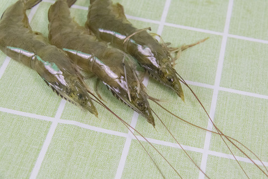 生鲜对虾