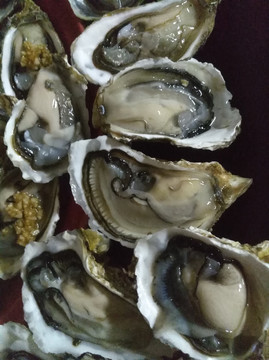 生蚝