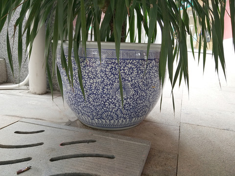 花卉