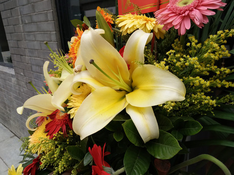 花卉