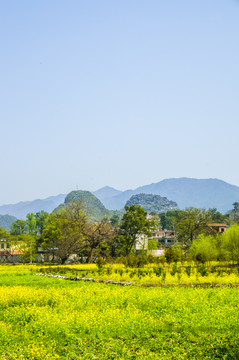 田园风光