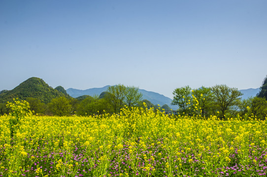 田园风光