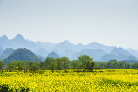 田园风光