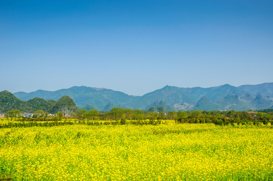 田园风光