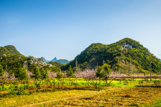 田园风光