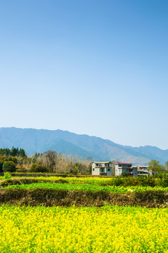 田园风光