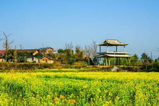 田园春色