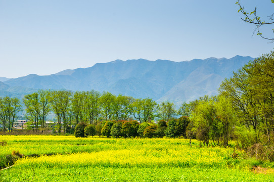 田园风光