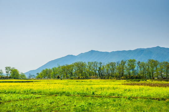 田园风光