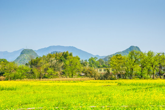 田园风光