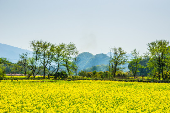 田园风光