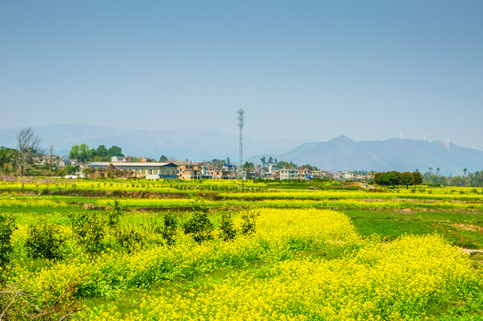 田园风光