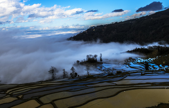 元阳梯田