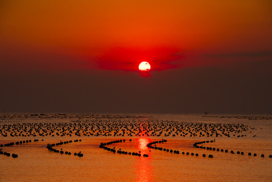 海岛日出