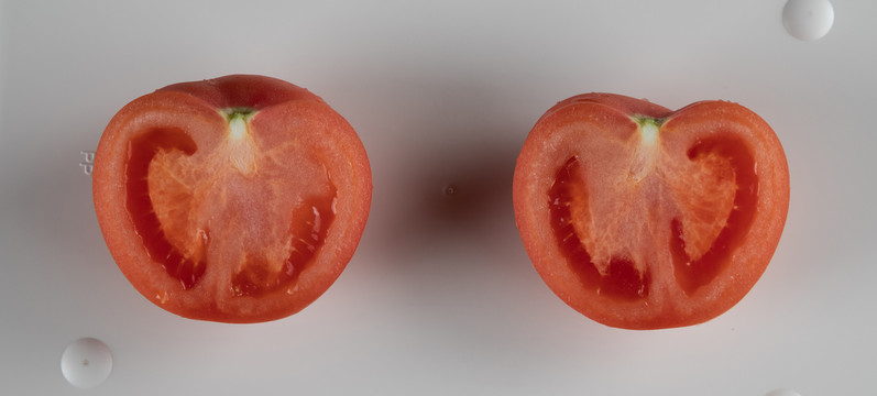 蕃茄食材