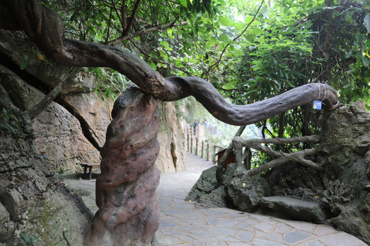 黄果树天星桥景区