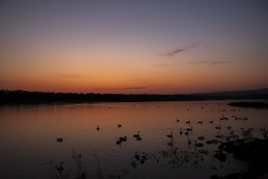 夕阳西下