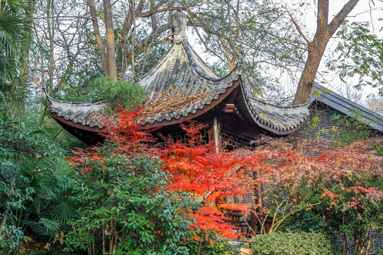 南京清凉寺秋色