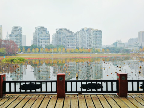 湖边秋景