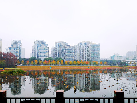 湖边秋景