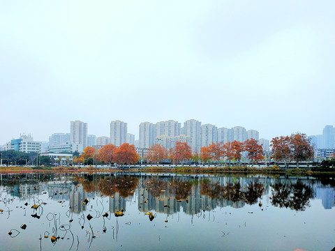 湖边秋景