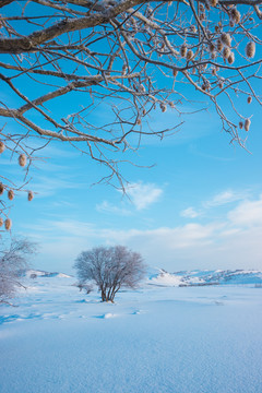 雪景