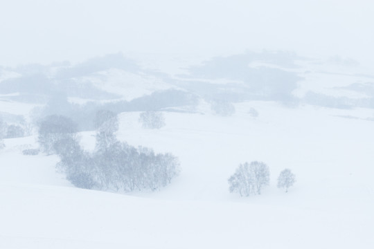 雪景