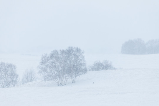 雪景