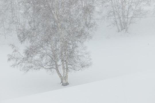 雪景