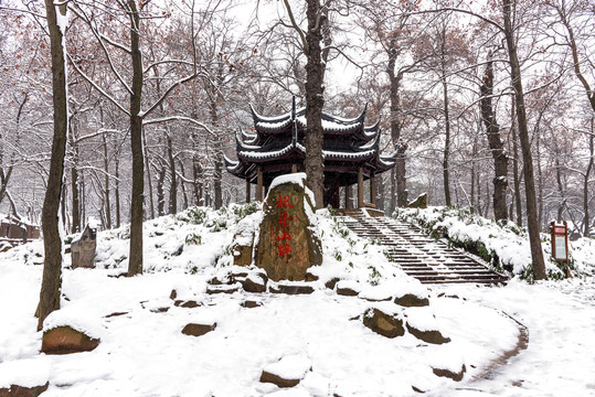 风雪苏州太平山