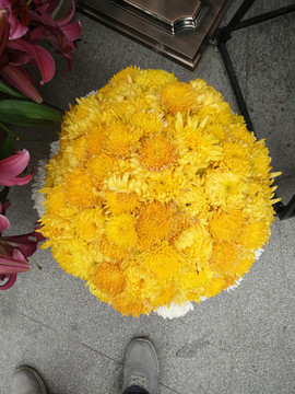 菊花