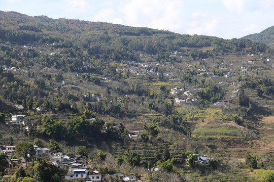 大山里的村庄