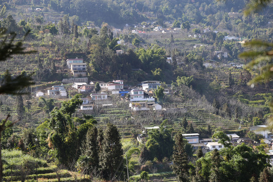 大山里的村庄