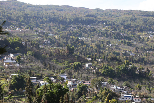 大山里的村落