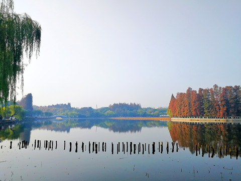 东湖风光