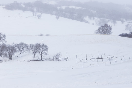 雪景