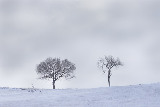 雪景