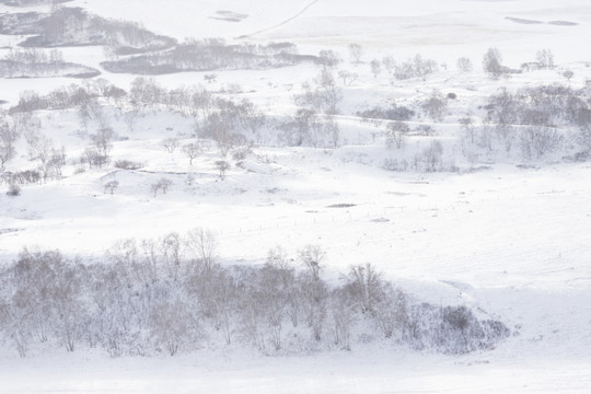 雪景