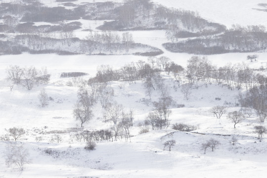 雪景