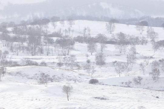 雪景