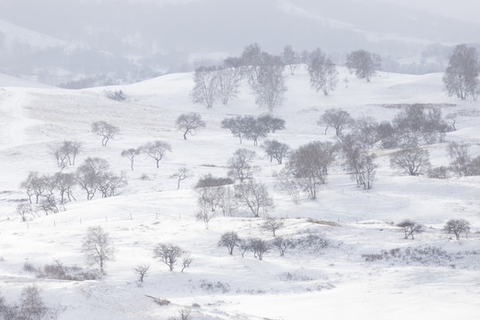 雪景