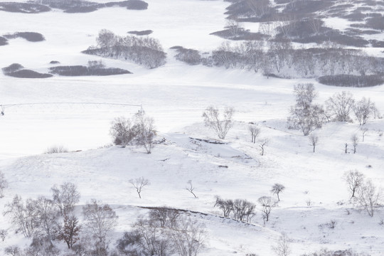 雪景