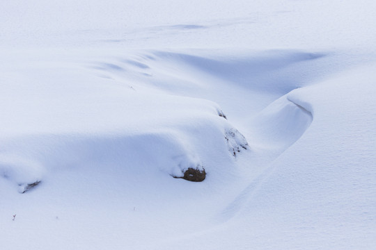 雪