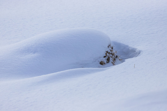 雪