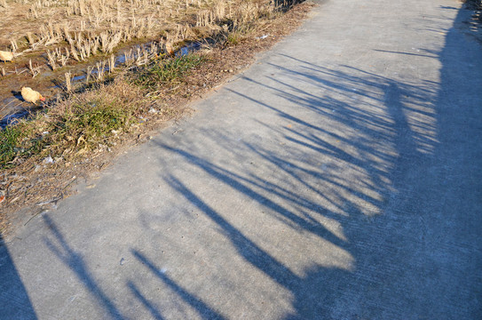 水泥路